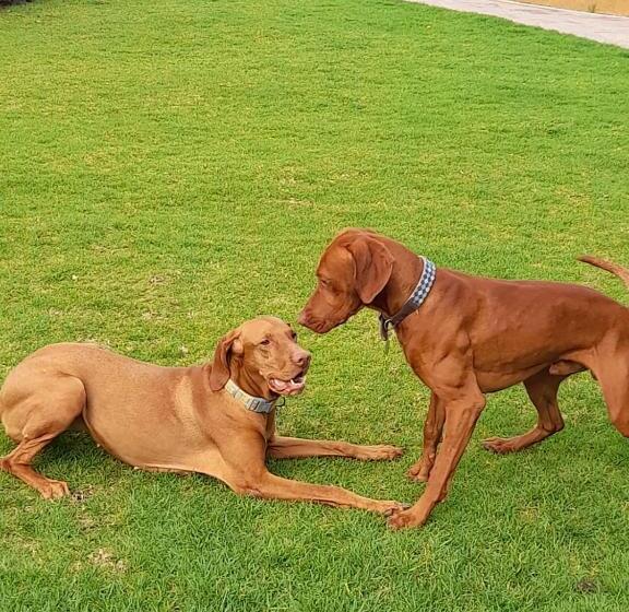 فندق Santo Refugio Heritage