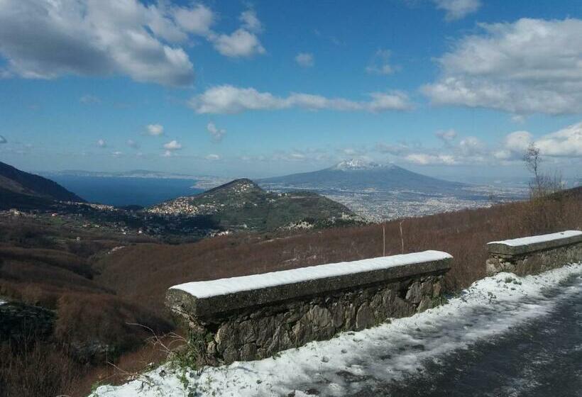 ベッドアンドブレックファースト Il Ceppo Sui Sentieri Per Amalfi