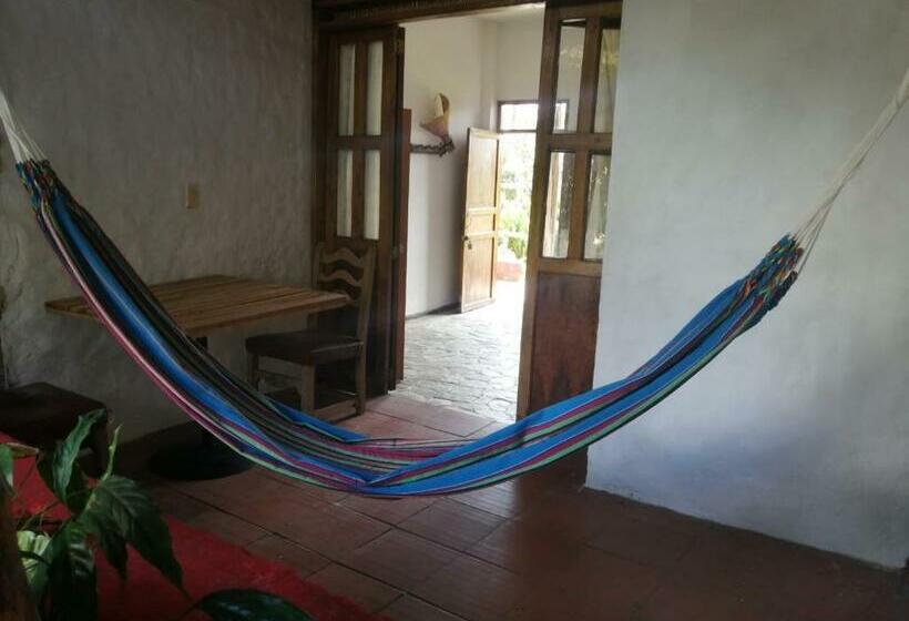 بنسيون Room In Lodge   Suite With Hamaca And Balcony In Front Of Panaca