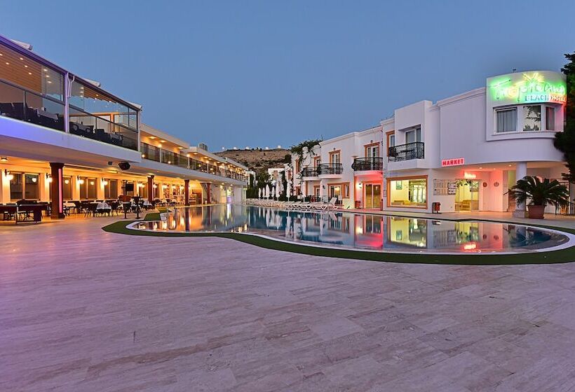 Tropicana Beach