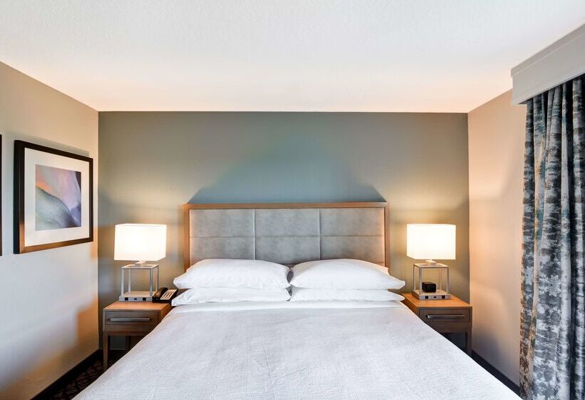 هتل Embassy Suites By Hilton Orlando Downtown