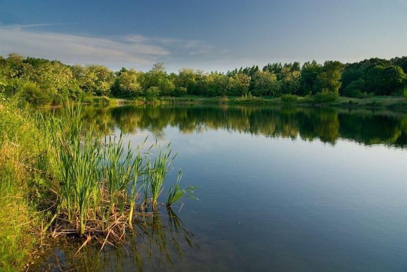 בית מלון כפרי Logis Lyon Est Porte De L Ain