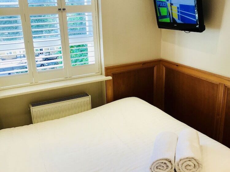 هتل The Excelsior