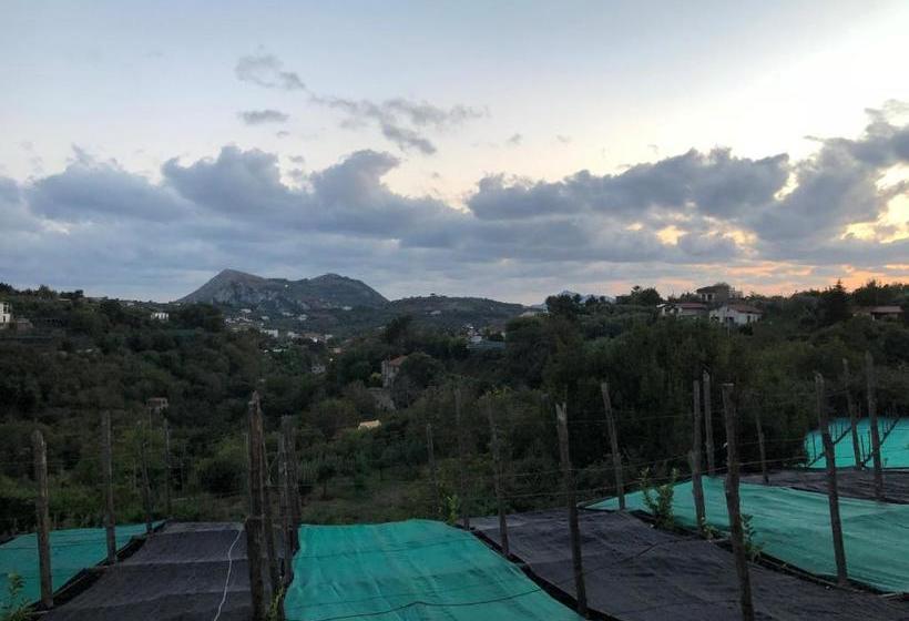 Bed and Breakfast De Maria House
