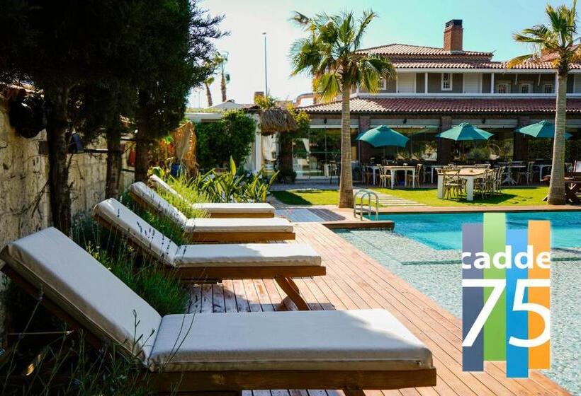 בית מלון כפרי Cadde 75