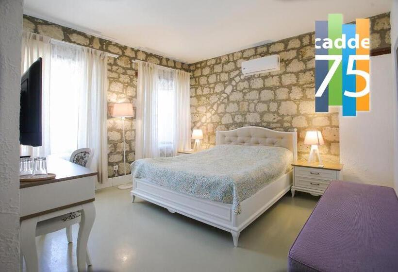 בית מלון כפרי Cadde 75