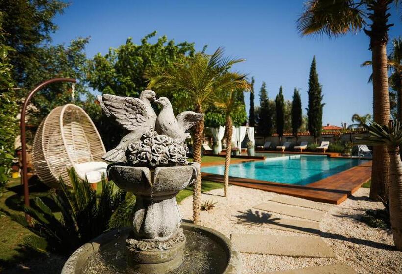 בית מלון כפרי Cadde 75