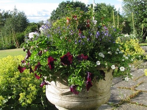 ホテル Broadhayes