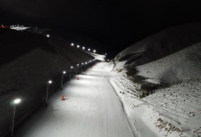 هتل Dedeman Palandoken Ski Lodge