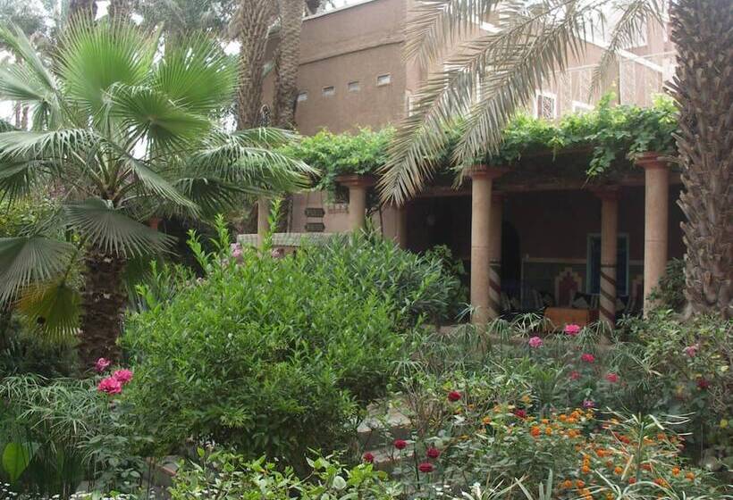 هتل Fibule Du Draa   Kasbah D Hôte