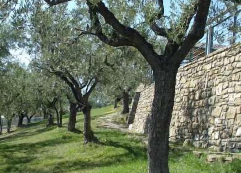 בית מלון כפרי Il Castellaccio