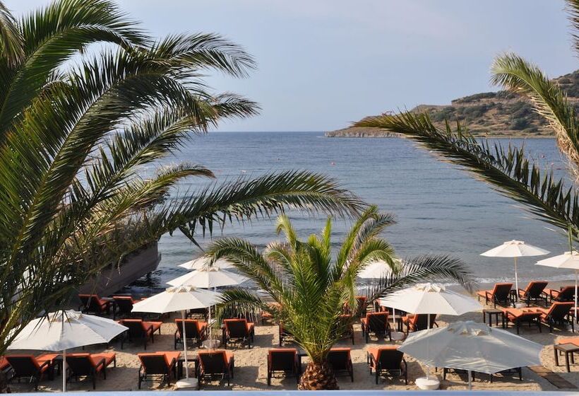 בית מלון כפרי Princess Artemisia