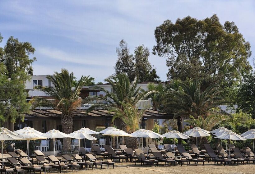 בית מלון כפרי Princess Artemisia