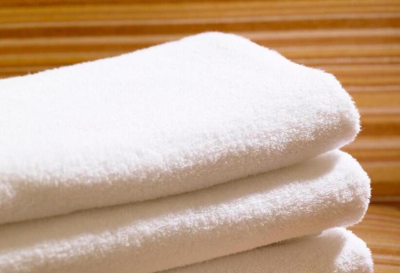 فندق The B Ikebukuro