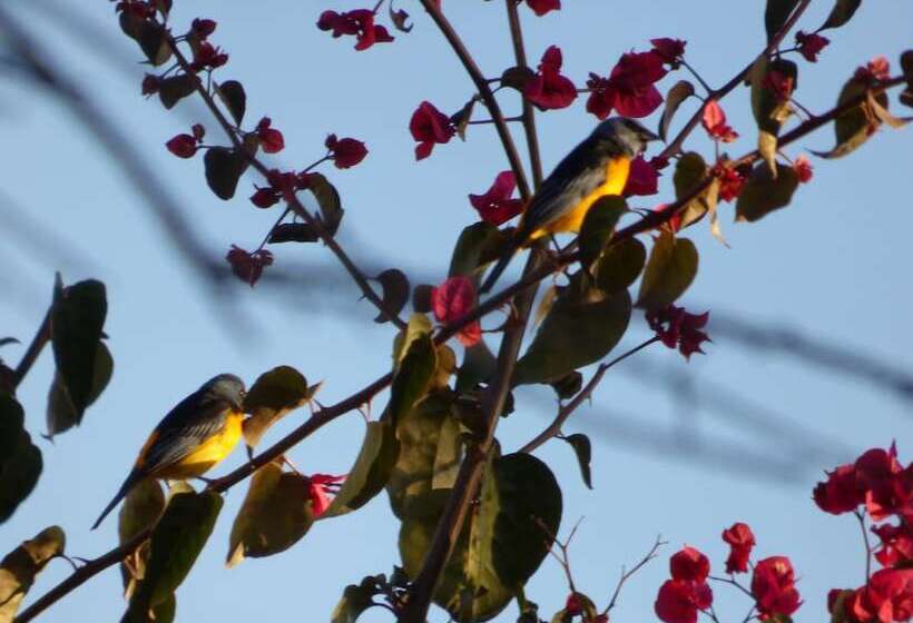 هتل Villa Antigua