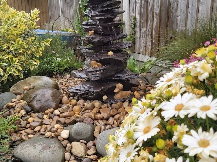 تختخواب و صبحانه Viva Guest House