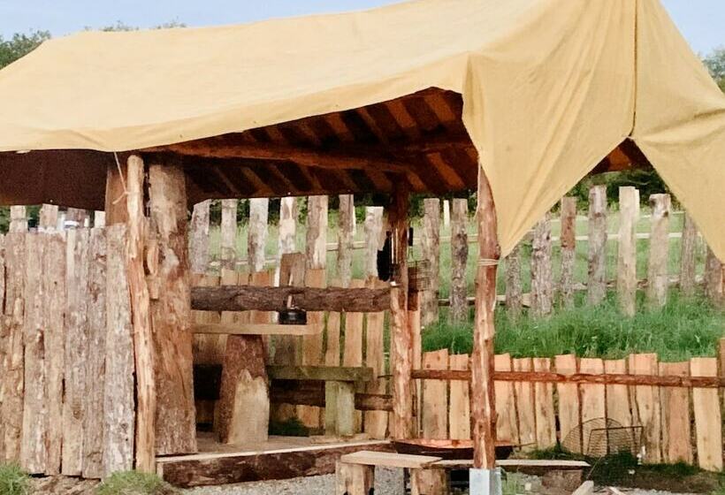 Bluebell Bell Tent  20 Acres Of Natural Beauty