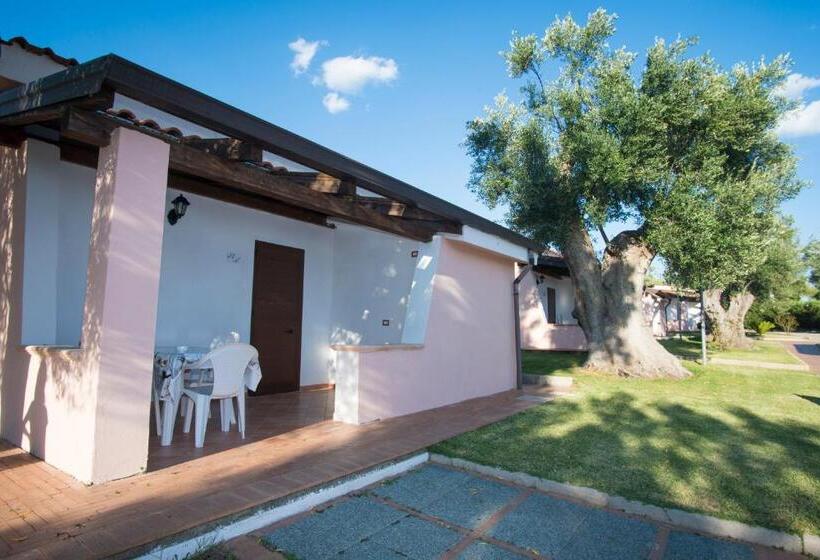 استراحتگاه Cilento Dreams Village