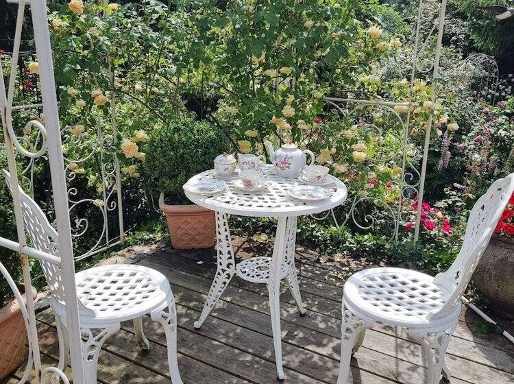 B&b Dressings Traumgarten