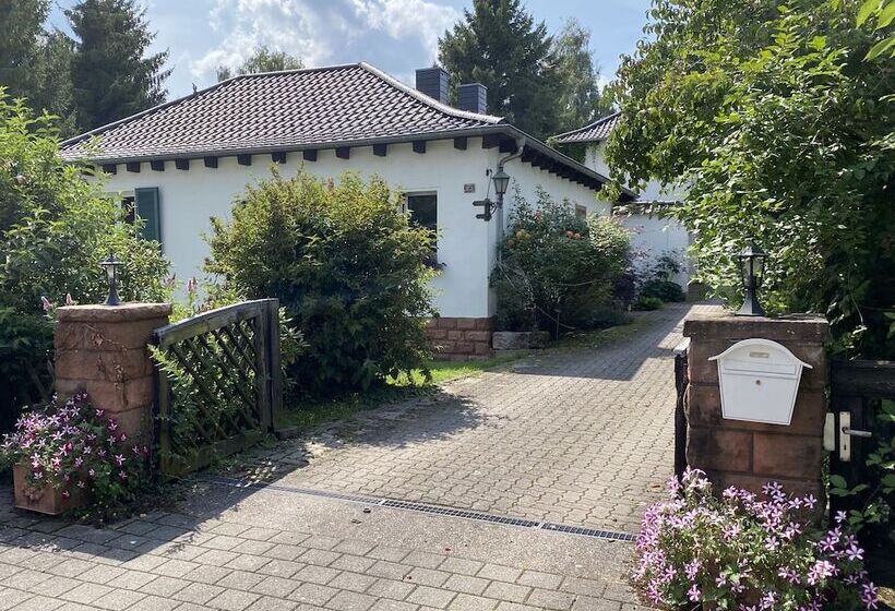 B&b Dressings Traumgarten