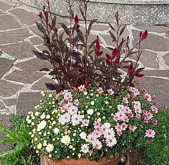 بنسيون Casa Vacanze Da Cinzia