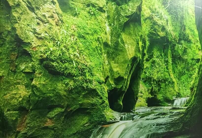 膳宿费 Hostal El Bosque Encantado Toledo