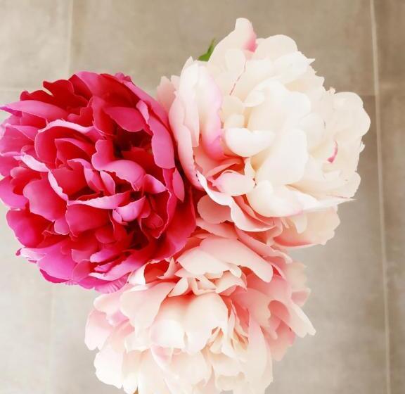 مبيت وإفطار Peonia