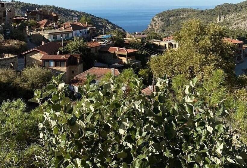 تختخواب و صبحانه Arıklı Han Kazdağları