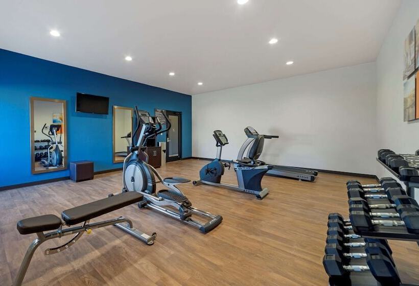 בית מלון כפרי Comfort Inn & Suites Harrah