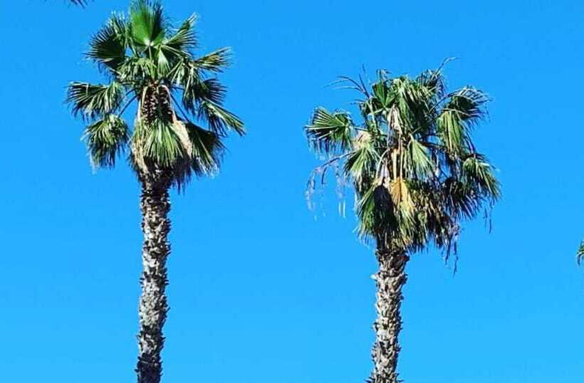فندق Palm Beach Club Casteldaccia