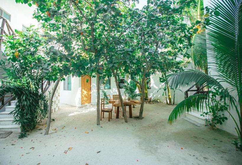 هتل Posada Yalekin Holbox