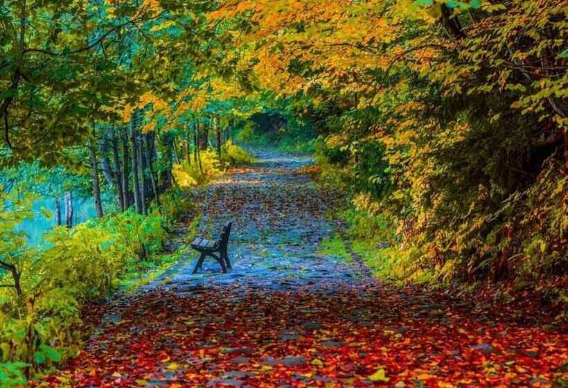 هتل Savsat Karagol