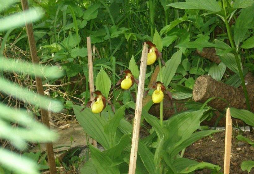 بنسيون Alpenhof Alt Lähn