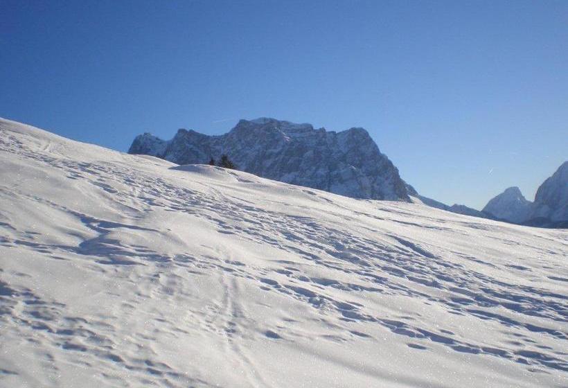 بنسيون Alpenhof Alt Lähn