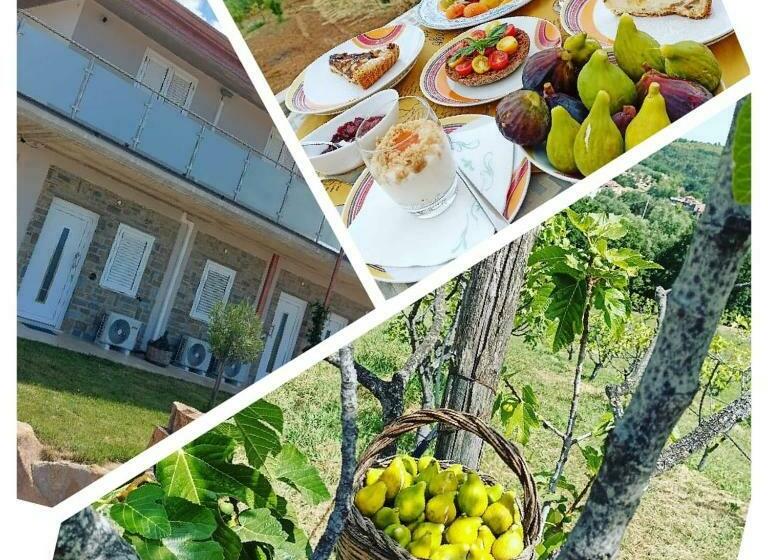 민박 Casa Del Sole