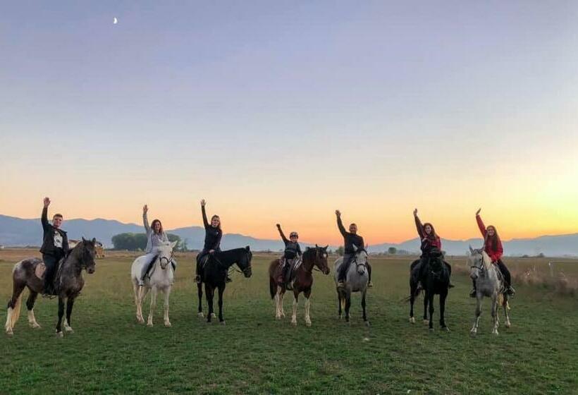 هتل House Of Horses Shtepia E Kuajve