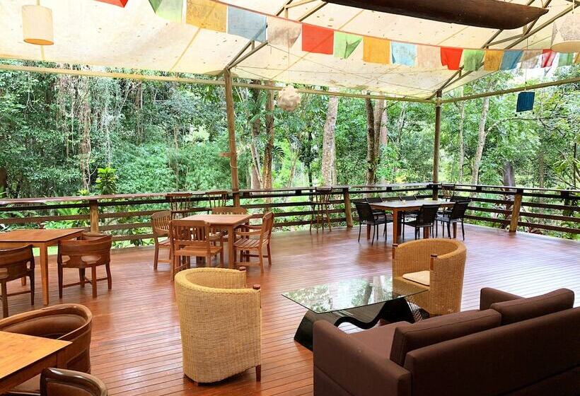 호텔 Cedar Park Rainforest Resort