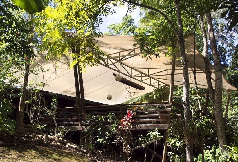 ホテル Cedar Park Rainforest Resort