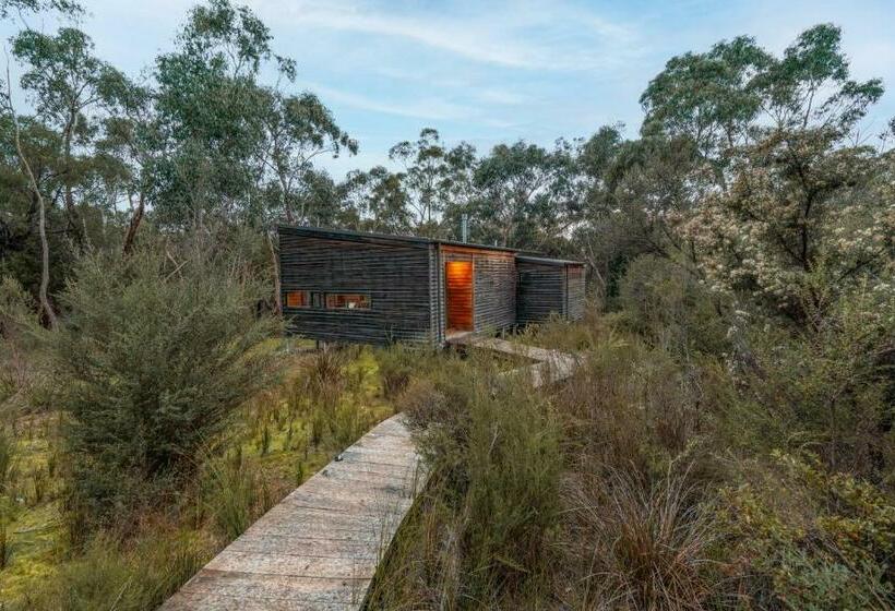 בית מלון כפרי Dulc Cabins