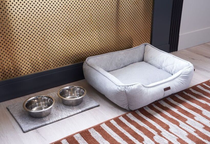 فندق Vesper, Houston, A Tribute Portfolio