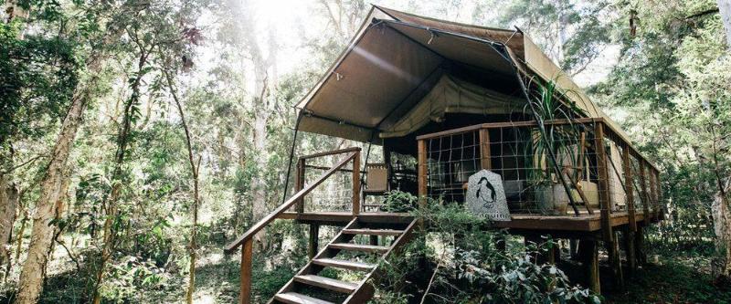 Отель Paperbark Camp