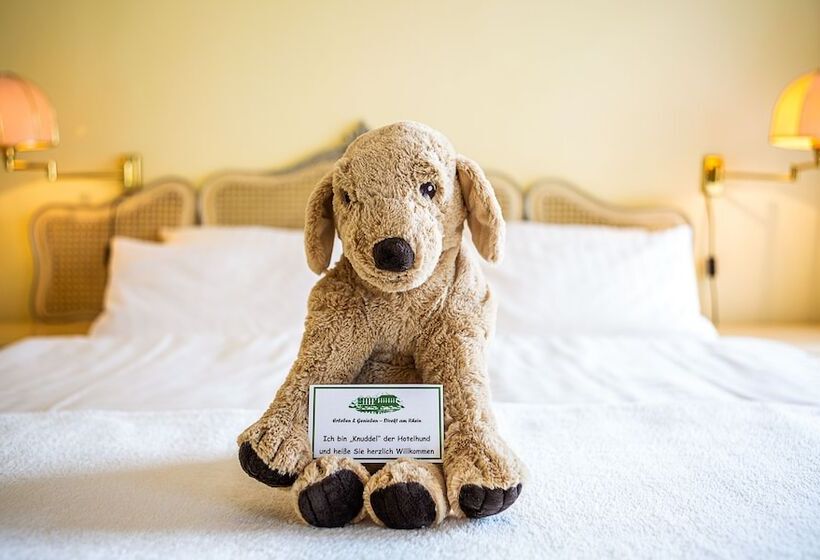 هتل Rheinresidenz