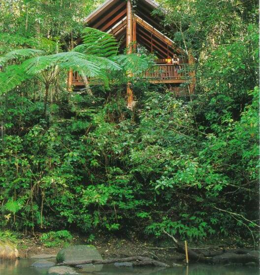 בית מלון כפרי The Canopy Rainforest Treehouses & Wildlife Sanctuary