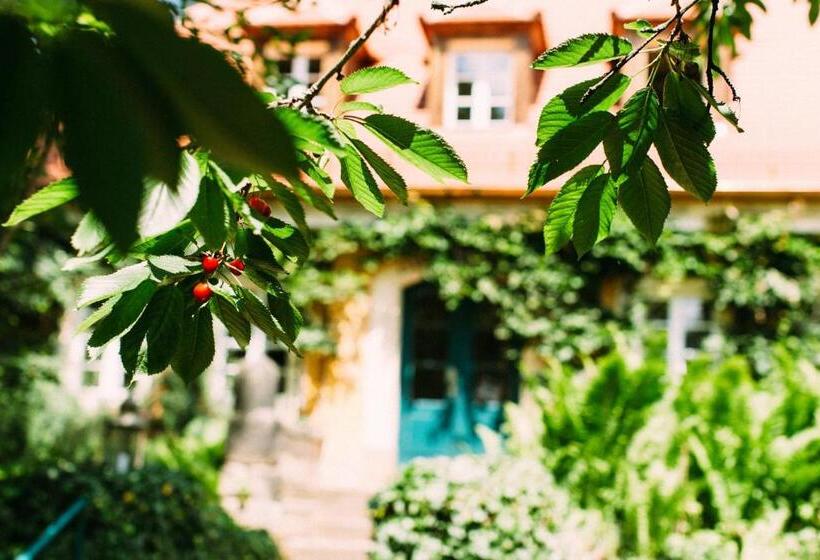 هتل Villa Sorgenfrei & Restaurant Atelier Sanssouci