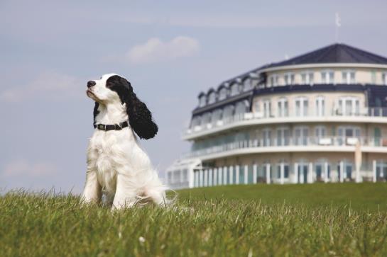 Upstalsboom Hotel Deichgraf