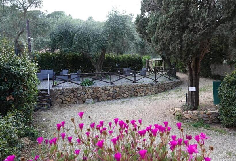 호텔 Agriturismo Pimpinnacolo