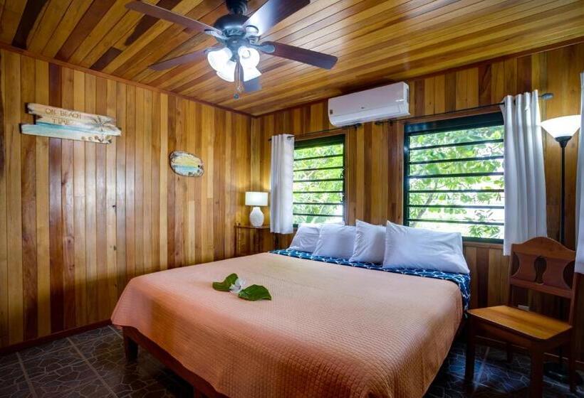 بنسيون Driftwood Gardens Guesthouse