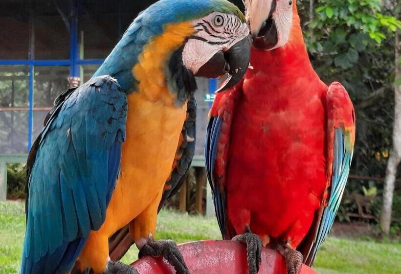 هتل Cabañas Alto Del Aguila