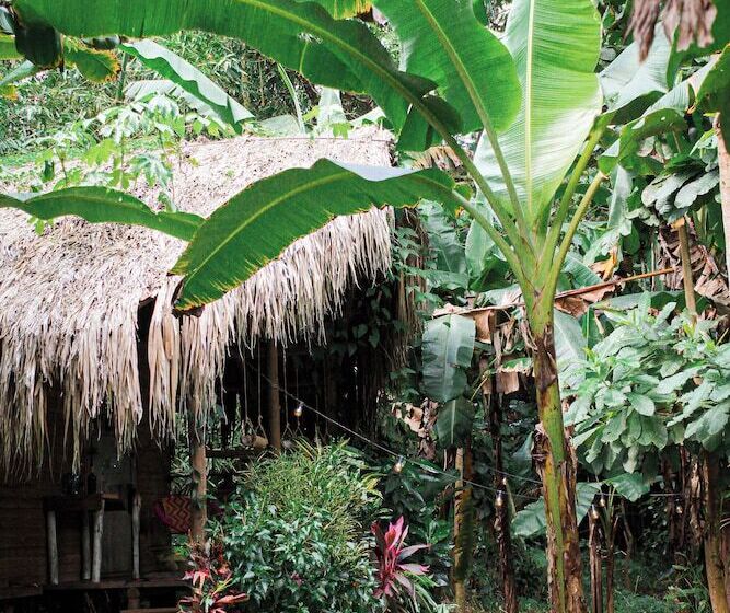 هتل Yay Sustainable