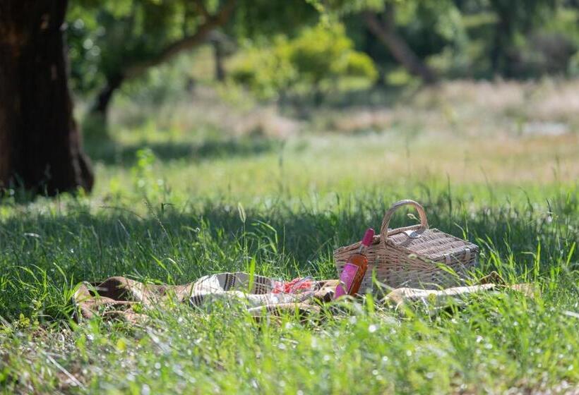 بنسيون Herdade Do Vale Da Abelheira By Mystay